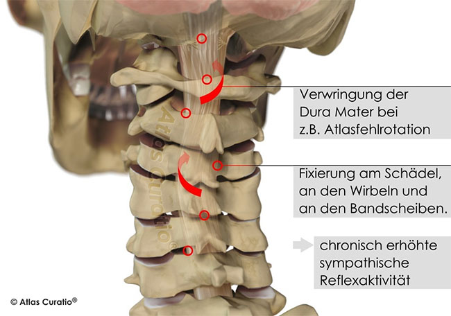 Leistungsfähigkeit Gehirn · Fachzahnärzte für Kieferorthopädie · Dr. Fricke & Dr. Ritschel